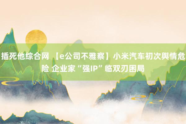 插死他综合网 【e公司不雅察】小米汽车初次舆情危险 企业家“强IP”临双刃困局
