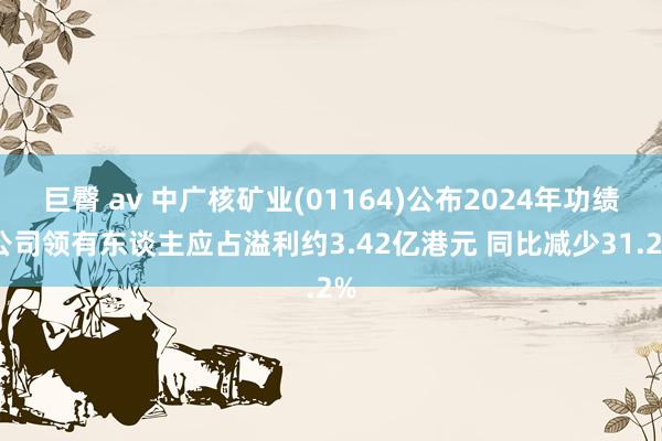 巨臀 av 中广核矿业(01164)公布2024年功绩 公司领有东谈主应占溢利约3.42亿港元 同比减少31.2%