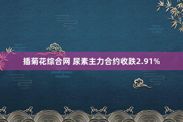 插菊花综合网 尿素主力合约收跌2.91%