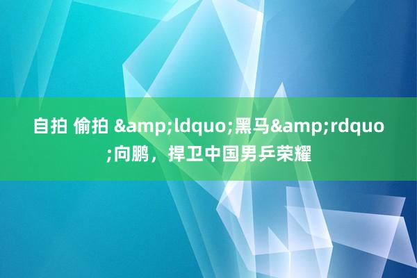 自拍 偷拍 &ldquo;黑马&rdquo;向鹏，捍卫中国男乒荣耀