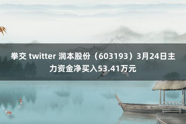 拳交 twitter 润本股份（603193）3月24日主力资金净买入53.41万元