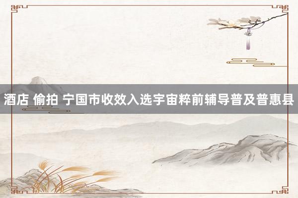 酒店 偷拍 宁国市收效入选宇宙粹前辅导普及普惠县