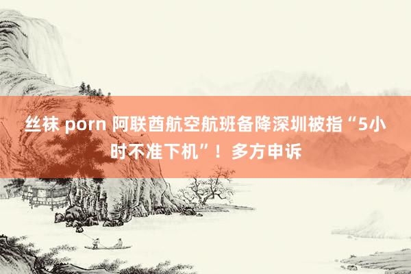 丝袜 porn 阿联酋航空航班备降深圳被指“5小时不准下机”！多方申诉