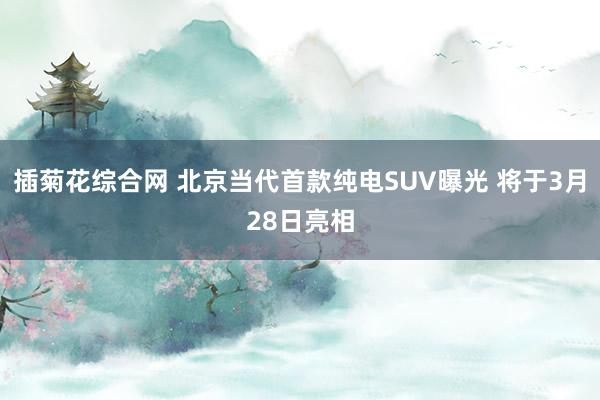 插菊花综合网 北京当代首款纯电SUV曝光 将于3月28日亮相
