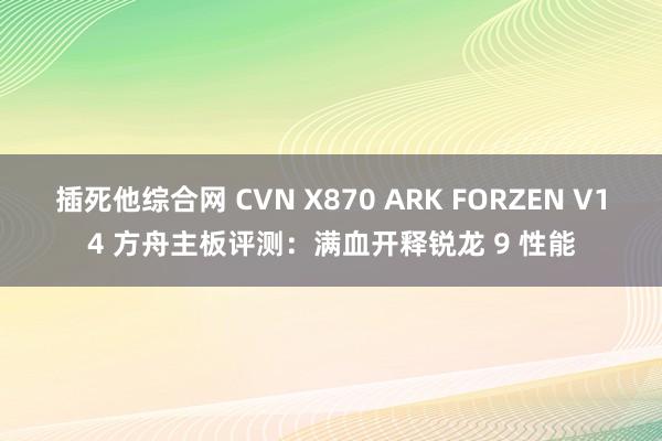 插死他综合网 CVN X870 ARK FORZEN V14 方舟主板评测：满血开释锐龙 9 性能