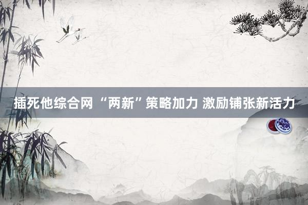 插死他综合网 “两新”策略加力 激励铺张新活力