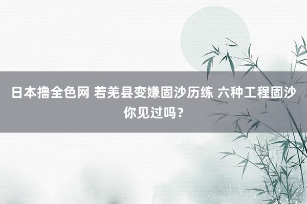日本撸全色网 若羌县变嫌固沙历练 六种工程固沙你见过吗？