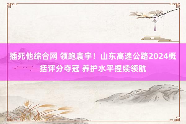插死他综合网 领跑寰宇！山东高速公路2024概括评分夺冠 养护水平捏续领航