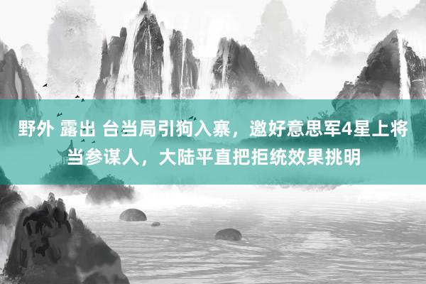 野外 露出 台当局引狗入寨，邀好意思军4星上将当参谋人，大陆平直把拒统效果挑明