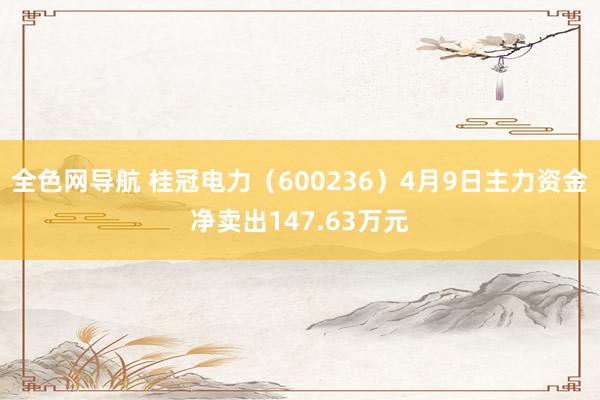 全色网导航 桂冠电力（600236）4月9日主力资金净卖出147.63万元