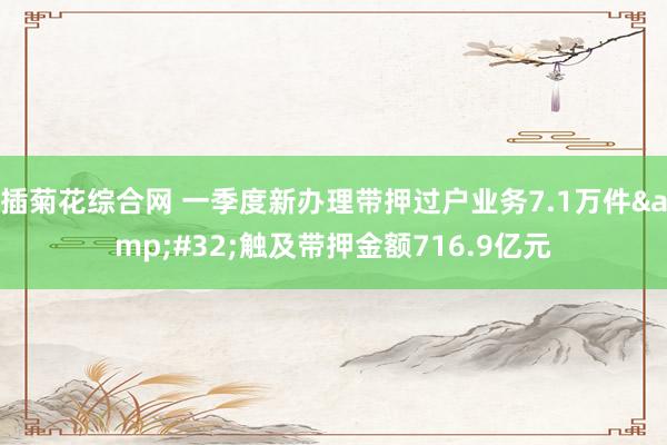 插菊花综合网 一季度新办理带押过户业务7.1万件&#32;触及带押金额716.9亿元