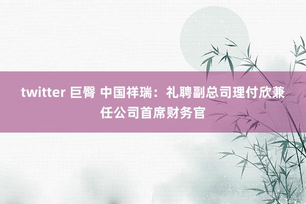 twitter 巨臀 中国祥瑞：礼聘副总司理付欣兼任公司首席财务官