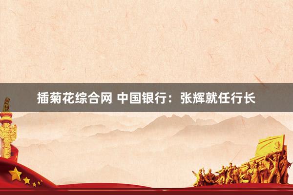 插菊花综合网 中国银行：张辉就任行长
