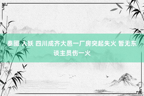 泰國 人妖 四川成齐大邑一厂房突起失火 暂无东谈主员伤一火