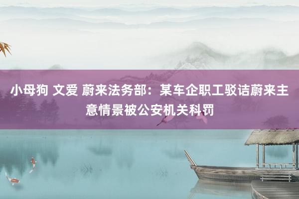 小母狗 文爱 蔚来法务部：某车企职工驳诘蔚来主意情景被公安机关科罚