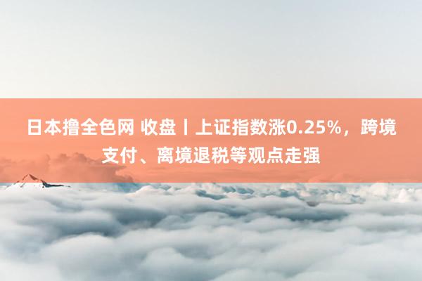 日本撸全色网 收盘丨上证指数涨0.25%，跨境支付、离境退税等观点走强