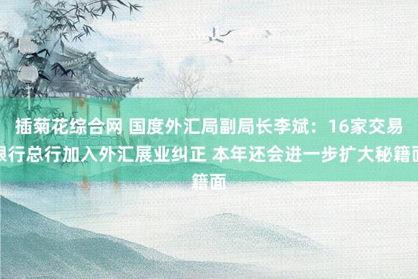 插菊花综合网 国度外汇局副局长李斌：16家交易银行总行加入外汇展业纠正 本年还会进一步扩大秘籍面