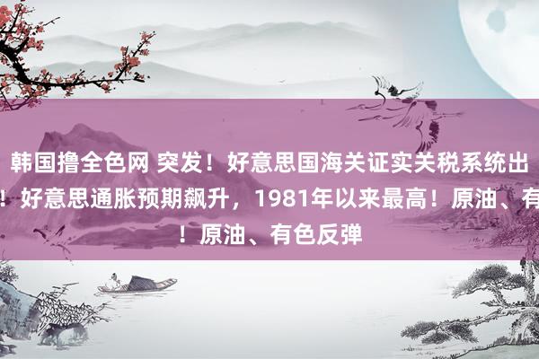 韩国撸全色网 突发！好意思国海关证实关税系统出现故障！好意思通胀预期飙升，1981年以来最高！原油、有色反弹