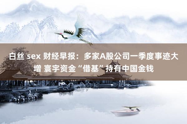 白丝 sex 财经早报：多家A股公司一季度事迹大增 寰宇资金“借基”持有中国金钱