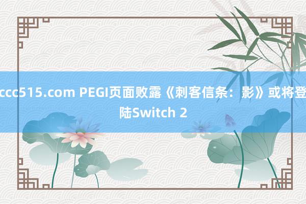 ccc515.com PEGI页面败露《刺客信条：影》或将登陆Switch 2