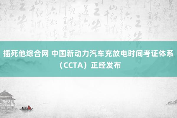插死他综合网 中国新动力汽车充放电时间考证体系（CCTA）正经发布