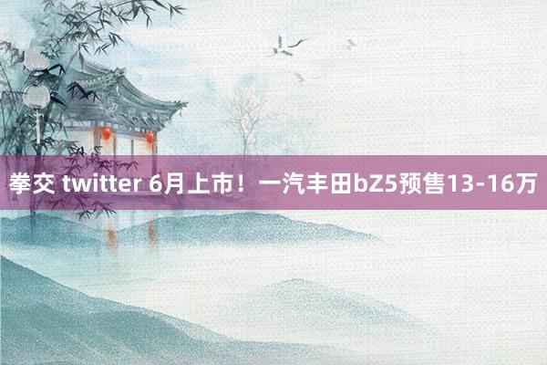 拳交 twitter 6月上市！一汽丰田bZ5预售13-16万