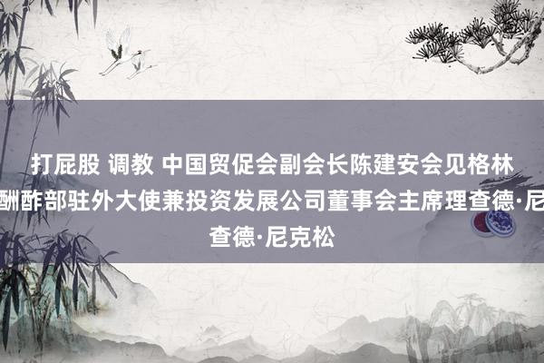 打屁股 调教 中国贸促会副会长陈建安会见格林纳达酬酢部驻外大使兼投资发展公司董事会主席理查德·尼克松