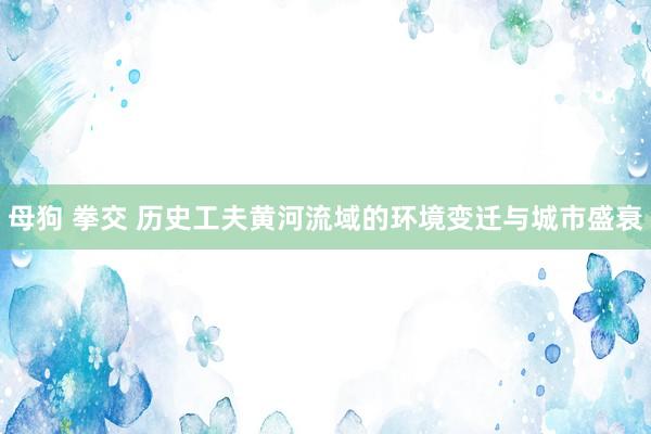 母狗 拳交 历史工夫黄河流域的环境变迁与城市盛衰
