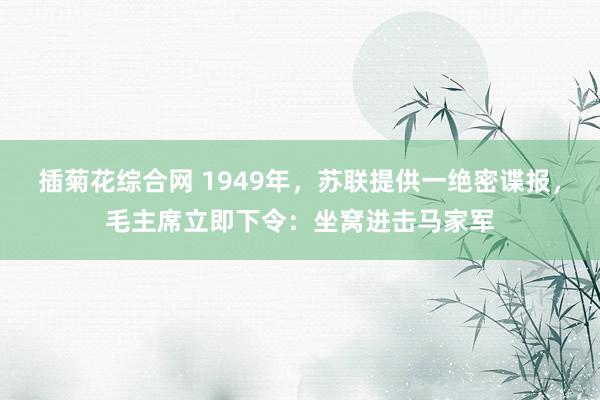插菊花综合网 1949年，苏联提供一绝密谍报，毛主席立即下令：坐窝进击马家军